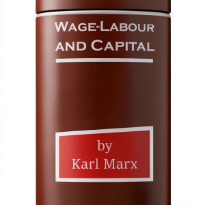 Kindle eBook Short Read on Economic Theory – 40 Pages by Amazon-0